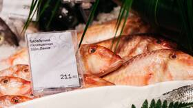 Азбука вкуса: рыба и морепродукты в Шелл