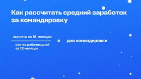 Чему равна сумма дней в году в Шелл