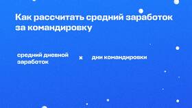 Что оплачивают при командировке в Шелл