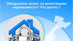 Что означает постановление о запрете регистрации в Шелл