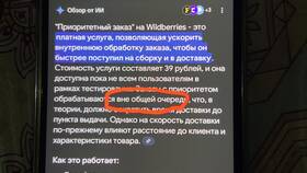 Что означает приоритетный заказ на Wildberries в Шелл