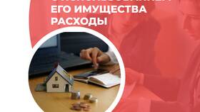 Что такое использование имущества в Шелл