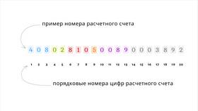 Что такое расчетный счет в Сбербанке и как его узнать в Шелл