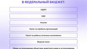 Что входит в федеральные налоги в Шелл
