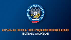 ФНС России: что это такое простыми словами в Шелл