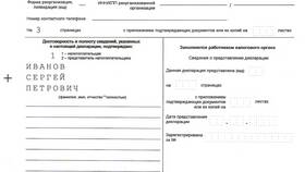 Из чего состоит налоговая декларация в Шелл