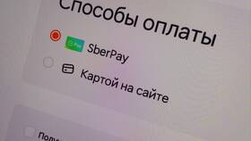 Как изменить адрес доставки в приложении Додо Пицца в Шелл