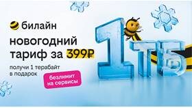 Как купить трафик на Билайне в Шелл