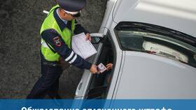 Как оспорить штраф ГИБДД за нарушение в Шелл