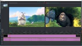 Как отключить автоплатеж в Adobe Premiere Pro в Шелл