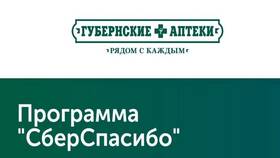 Как получить бонусы СберСпасибо в Шелл