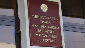 Как получить справку из центра занятости в Шелл