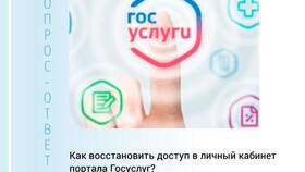 Как разобраться в работе портала Госуслуги в Шелл