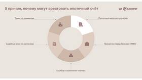 Как снять арест, наложенный ФНС в Шелл