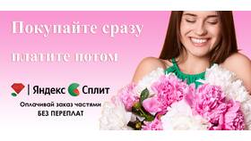 Как вернуть товар, оплаченный через Яндекс Сплит в Шелл
