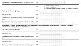 Как заполнить декларацию при продаже имущества в Шелл