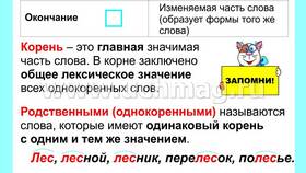 Корень как приставка в русском языке в Шелл