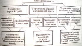 ООО как работодатель: правовые аспекты и обязанности в Шелл