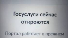 Почему не открываются Госуслуги на компьютере в Шелл