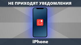 Почему не приходят уведомления на iPhone в Шелл