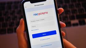 Почему не работает сервис МВД на Госуслугах в Шелл