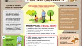 Почему отправили без подготовки в Шелл