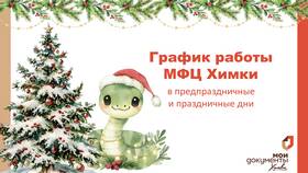 Режим работы МФЦ в новогодние праздники 2025 в Шелл