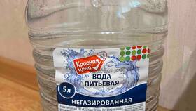 Сколько стоит минеральная вода в Пятерочке в Шелл