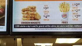 Сколько стоят наггетсы в Burger King? в Шелл