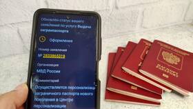Сроки проверки паспорта на портале Госуслуги в Шелл