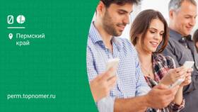 Стоимость SMS в сети Мегафон в Шелл