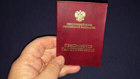 Утерян пенсионный: что делать в Шелл
