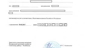 Зачем просят ИНН и СНИЛС в Шелл