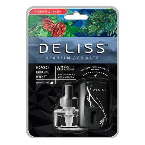 Автомобильный ароматизатор DELISS AUTOC008,01/01 в Шелл