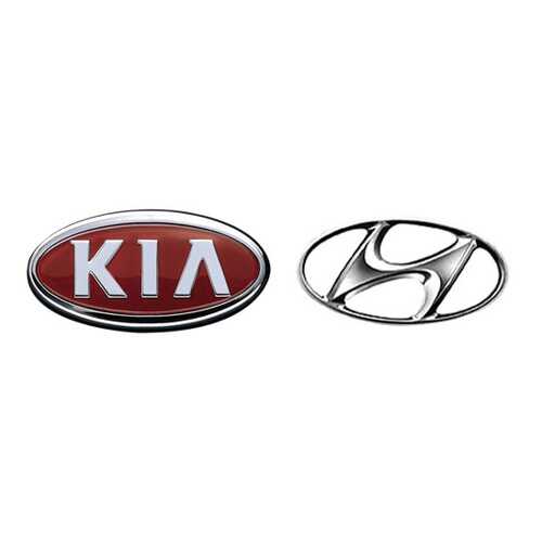 Форсунка омывателя Hyundai-KIA 986303K500 в Шелл