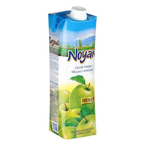 Яблочный сок прямого отжима Noyan premium без сахара 1 л в Шелл